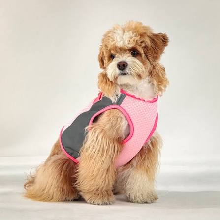 Pet Vests