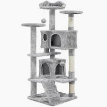 Cat Climbing Tower