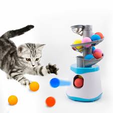 Cat Fetch Toys
