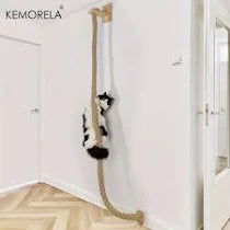 Cat Climbing Rope