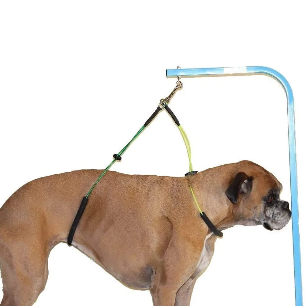Dog Grooming Loop Dual No-Sit Haunch Holder Cat Grooming Stainless Steel Wire Rope Restraint Noose for Pet Grooming Table Arm