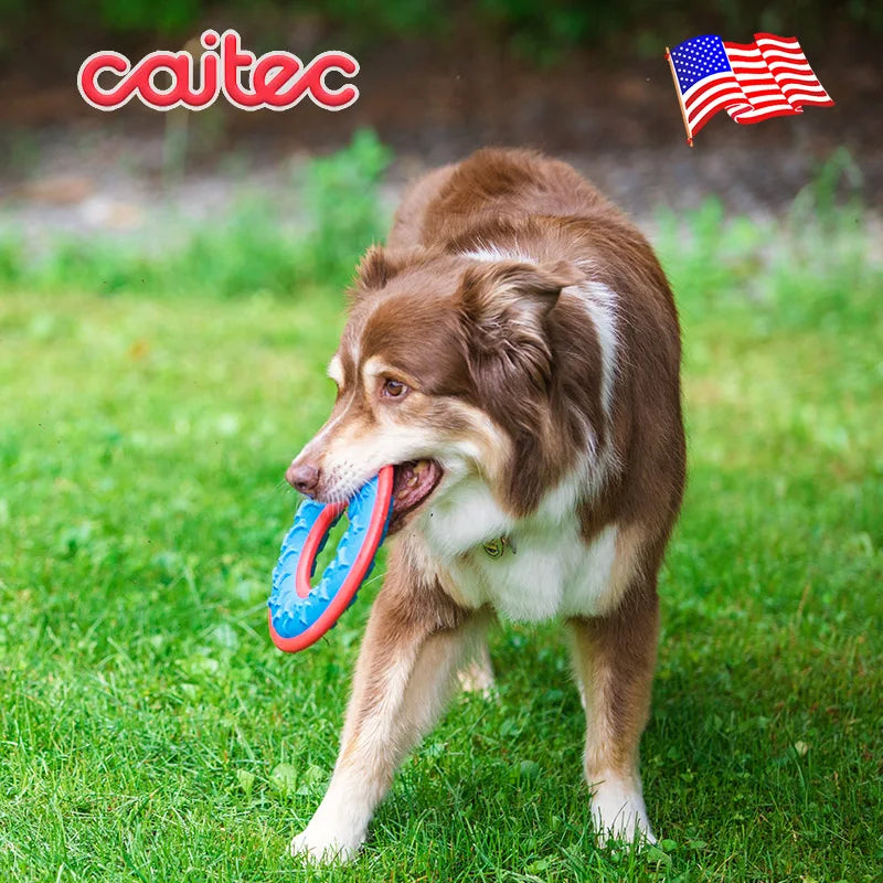 CAITEC Dog Toys Squeaky Flying Ring Durable Fit for Outdoor Throwing Suitable for Medium to Large Dogs