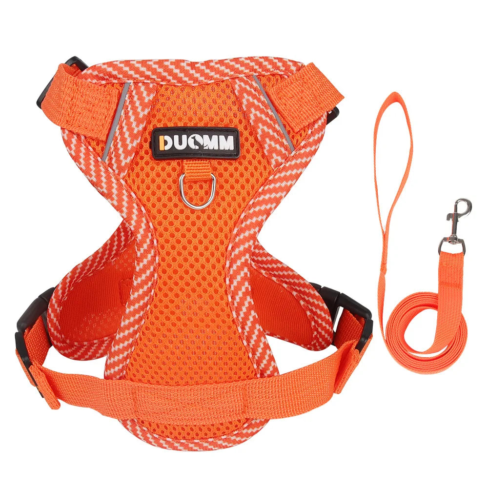 Fashion Reflective Cat Harness and Leash Sets Breathable Mesh Pet Harnesses for Small Dogs Cats Kitten Accessories Collier Chat