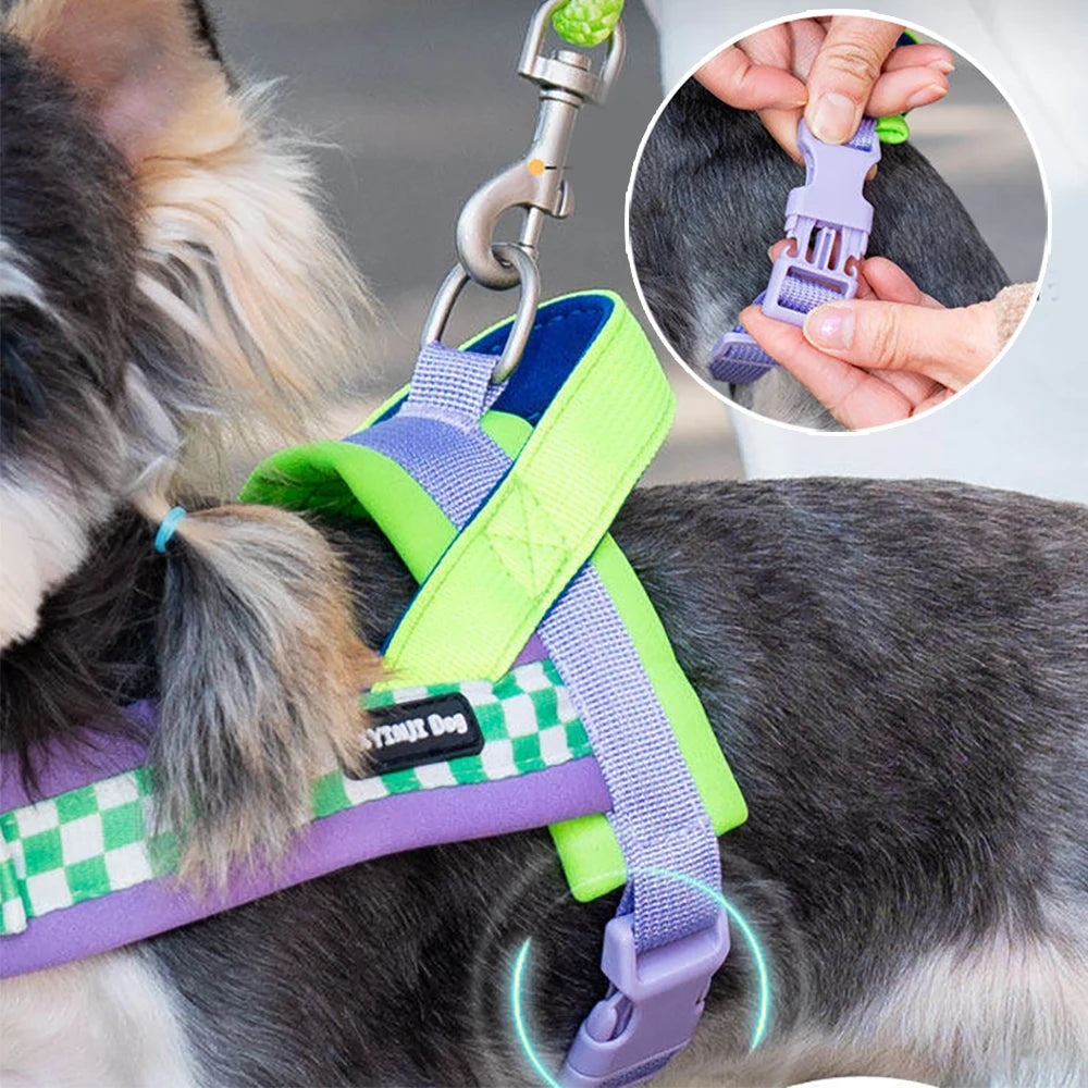 Small Dog Harness and Leash Set,Saddle Style Plaid Adjustable Puppy Vest for Dog Walking Outdoor