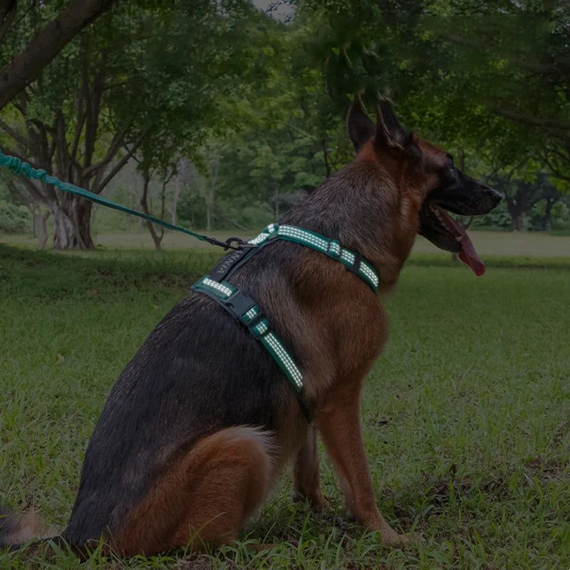 Comfortable Adjustable H-Shaped Large Dog Harness Washable Nylon Nighttime Reflective No Pull Pet Vest Harness Arnés Para Perros