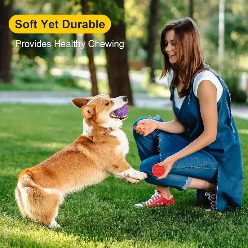 6 Pieces Durable Dog Rubber Toys Chew Play Squeaky Balls for Teeth Cleaning and Training Safe and  Free for Small and Medium Dog