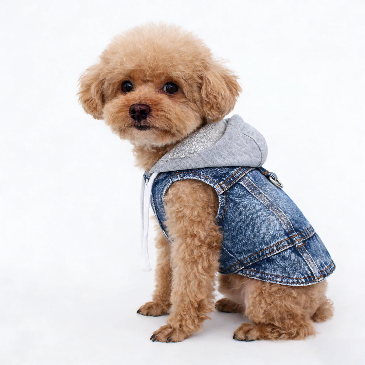 Small Dog Clothes Gray Knitted Hoodie Puppy Spring Clothing Blue/Black Jean Vest for Boys Pet Soft Denim Fabric Sleeveless Shirt