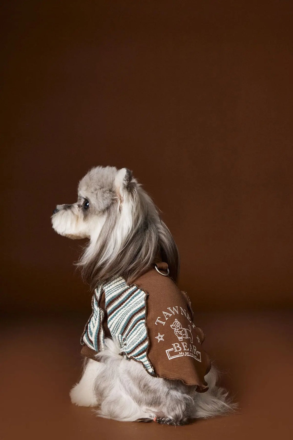 Fashionable Striped Design Italian Gentleman-Style Pet Hoodie With Zipper And Dog Hooded Top