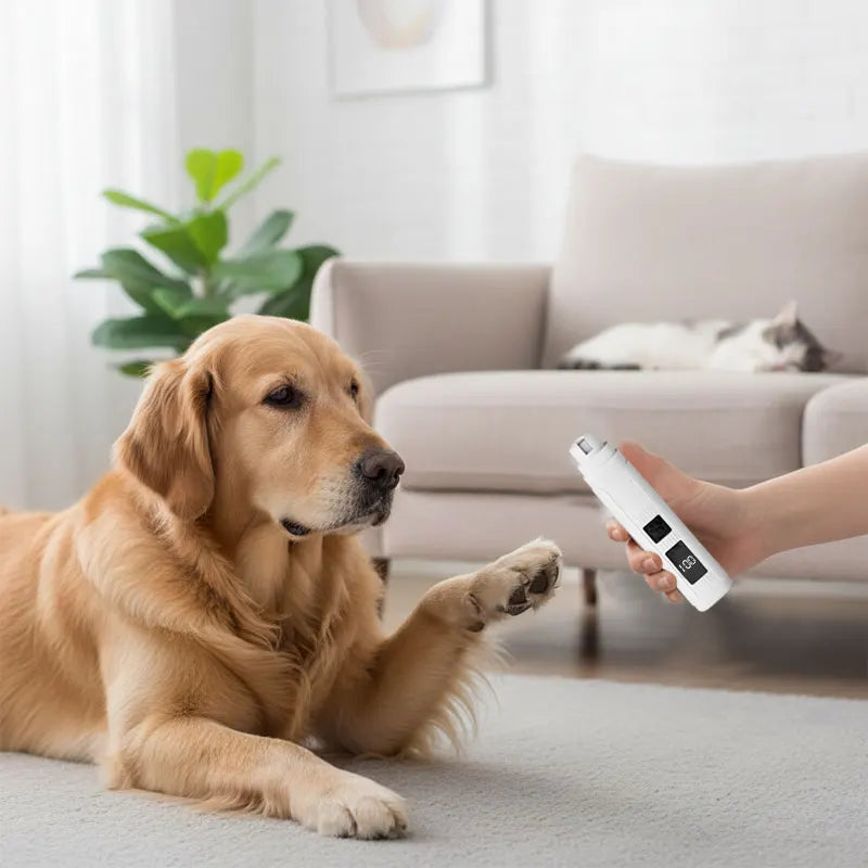 Silent Pet Nail Grinder for Dogs Cats USB Rechargeable Electric Claw Trimmer with LED Light 2 Speed Diamond Wheel
