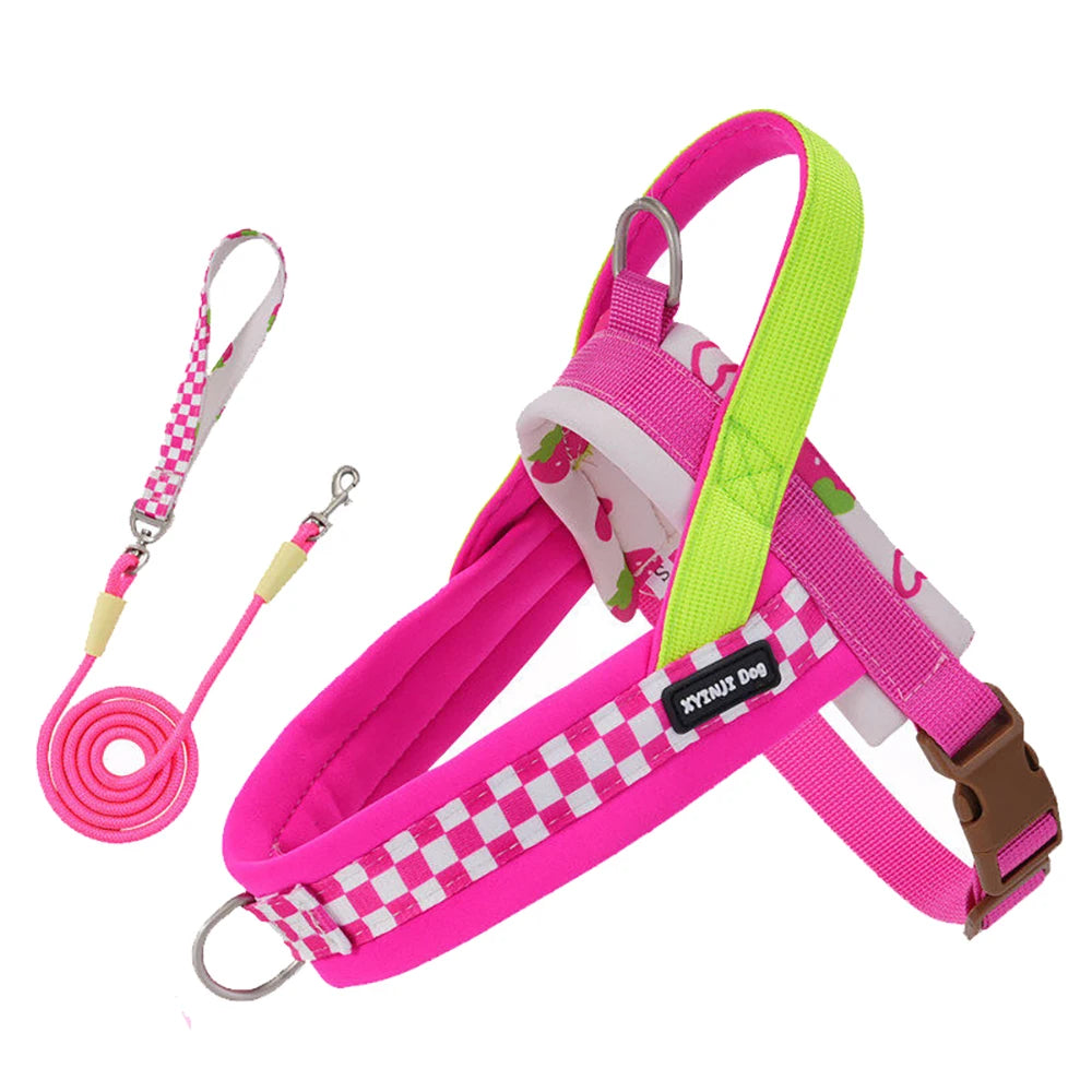 Small Dog Harness and Leash Set,Saddle Style Plaid Adjustable Puppy Vest for Dog Walking Outdoor