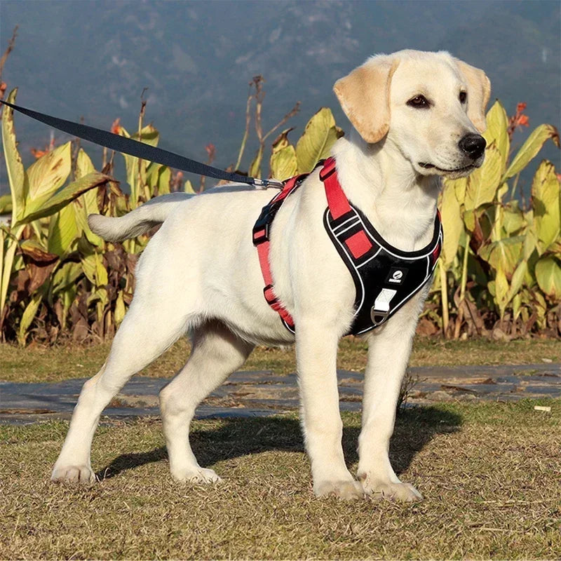 Pet Dog Harness Reflective Adjustable German Shepherd Outdoor Training Vest Wear-resistant And Explosion-proof Shock Harnesses