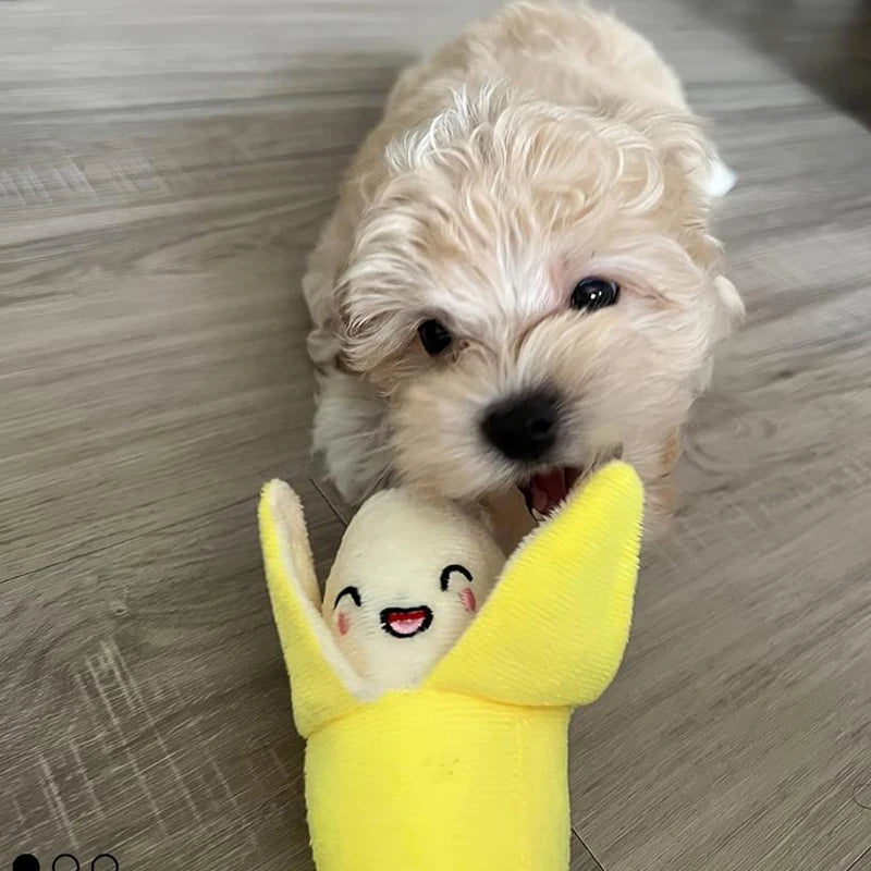12 Pack Squeaky Dog Plush Toys Random Mixed Stuffed Chew Toys Interactive Teething Soft Pet Toy Set for Small Medium Dogs