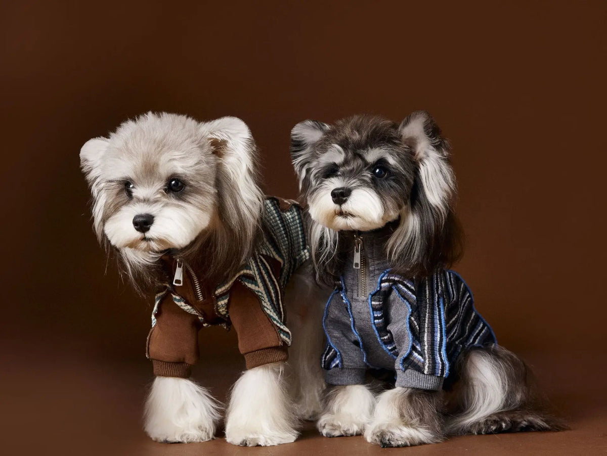 Fashionable Striped Design Italian Gentleman-Style Pet Hoodie With Zipper And Dog Hooded Top