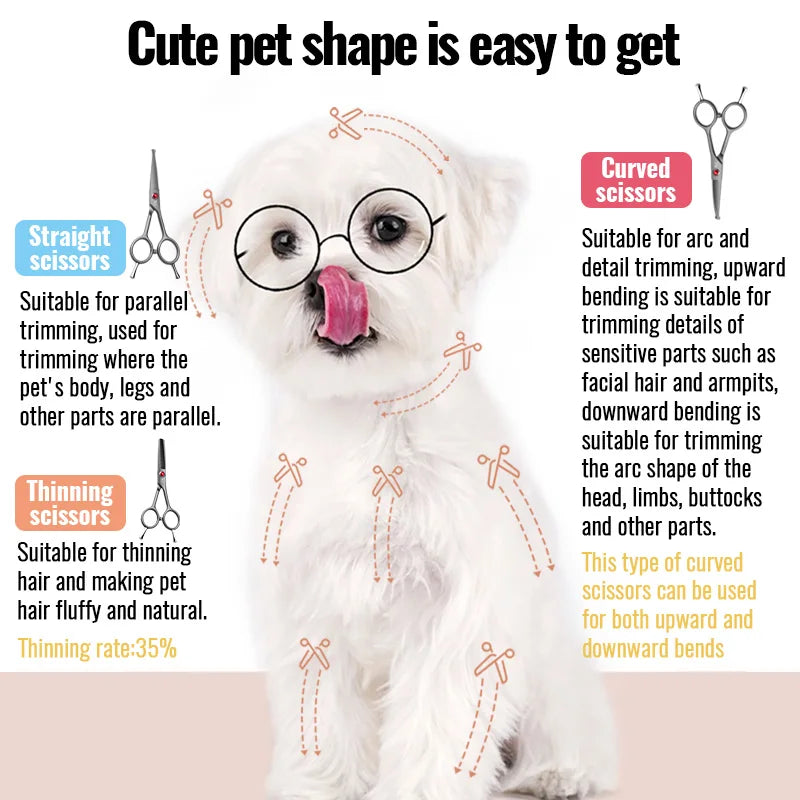 Fenice High Quality 4.5 inch Dog Cat Safely Round Tips Top Grooming Small Scissors Tool for Pet Eyes/Face/Foot/Nose