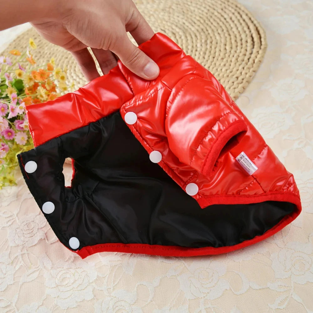 Dog Clothes for Small Dogs Puppy Jacket Waterproof Dog Coat Winter Warm Pet Costume Chihuahua