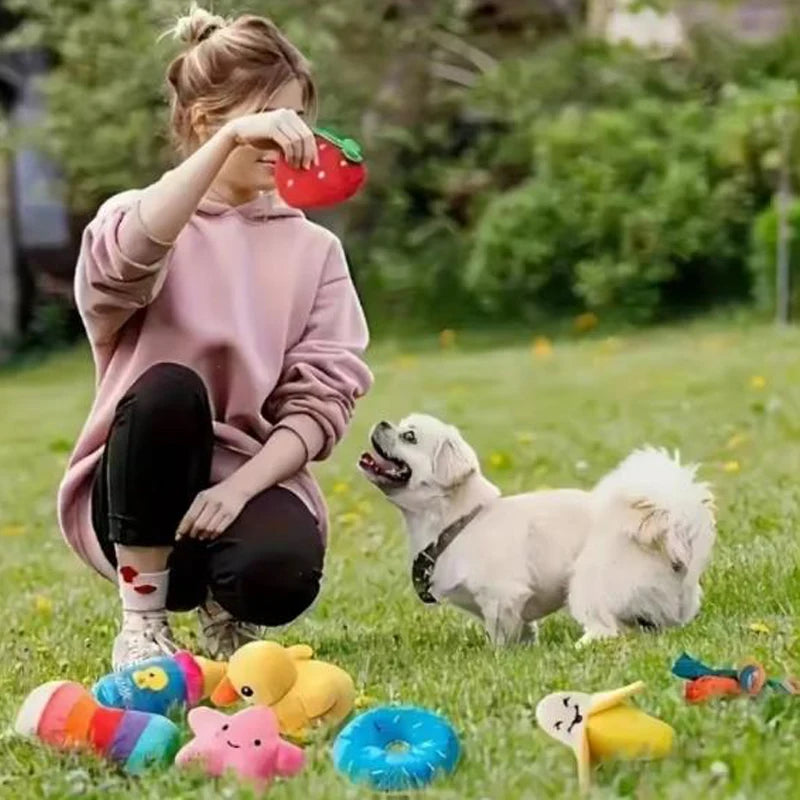 12 Pack Squeaky Dog Plush Toys Random Mixed Stuffed Chew Toys Interactive Teething Soft Pet Toy Set for Small Medium Dogs