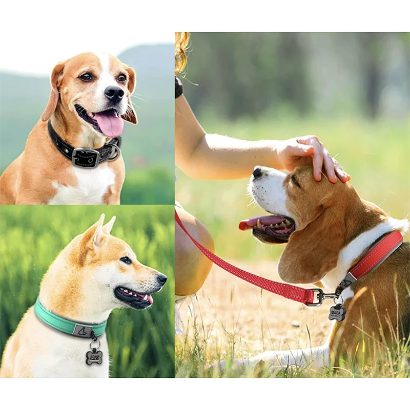 New Pet Dog Collars Nylon Collar For Small Medium Large Dogs Solid Pet Collar with Rings Teddy Keji Pitbull Bulldog Beagle