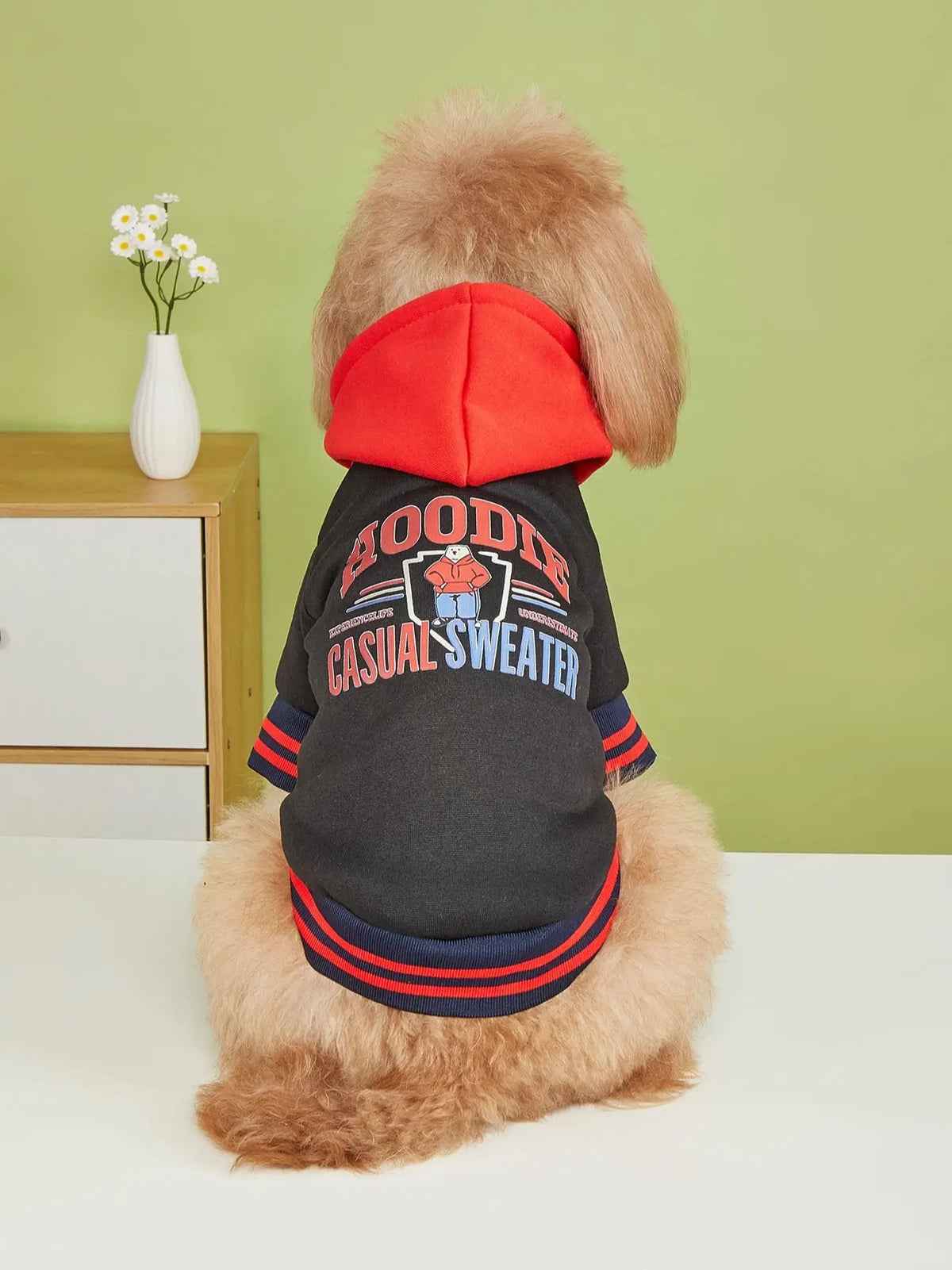 Pet clothes dog dog cat with hat jacket warm and comfortable clothes with bear letter pattern black and red new one