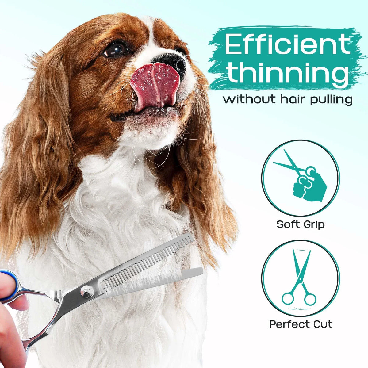 5 In 1 Pet Grooming Scissors Set Stainless Steel Round Tip Safe Hair Thinning Shears For Dogs Cats Trimming Tools