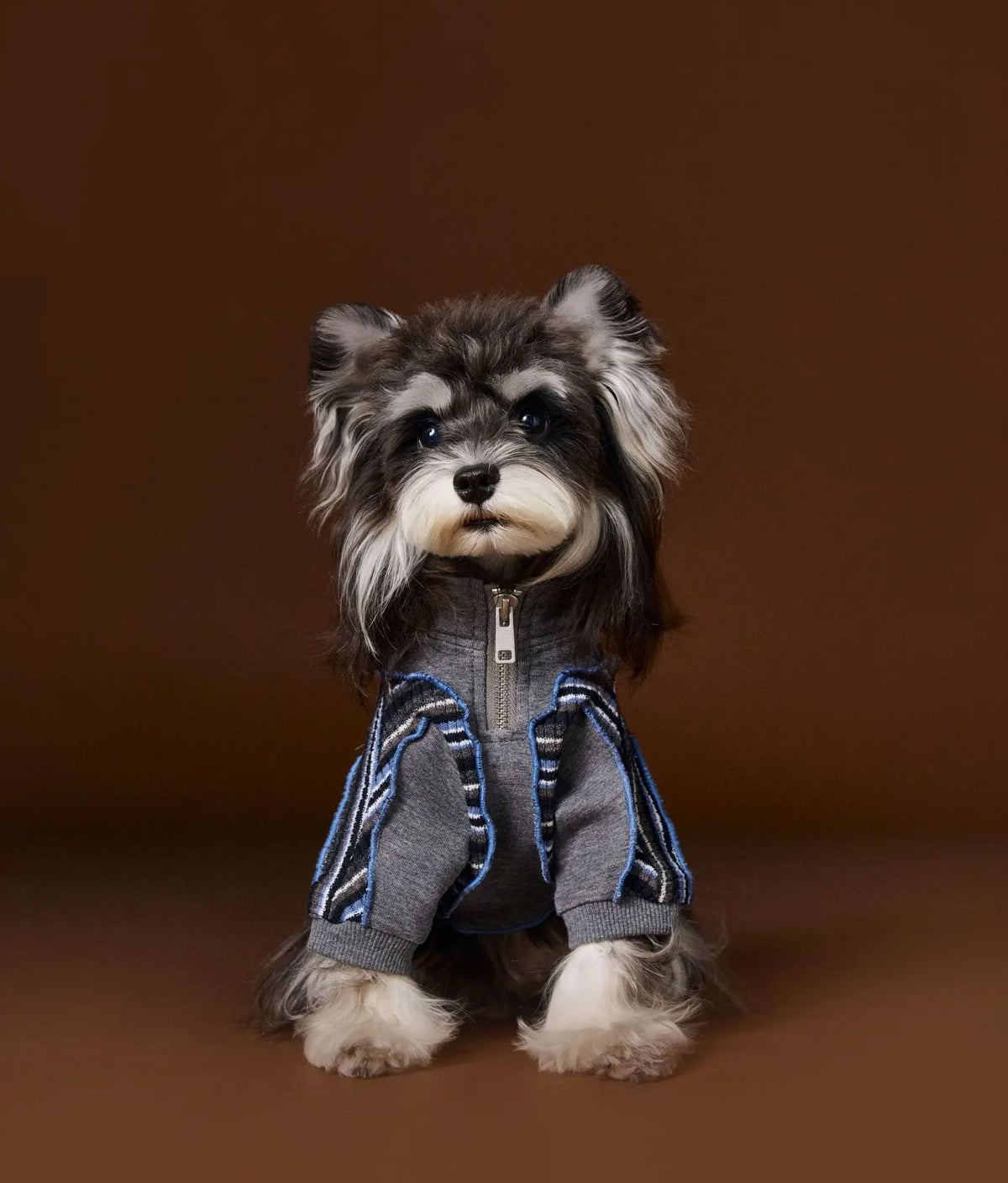 Fashionable Striped Design Italian Gentleman-Style Pet Hoodie With Zipper And Dog Hooded Top