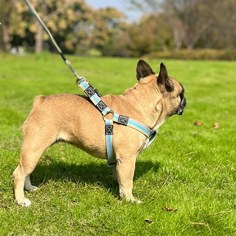 2m Long Dog Training Leash Pet Lead Non-Slip Rubber Nylon Training Walking Rope Work Dog Leashes For Small Medium Large Big Dogs