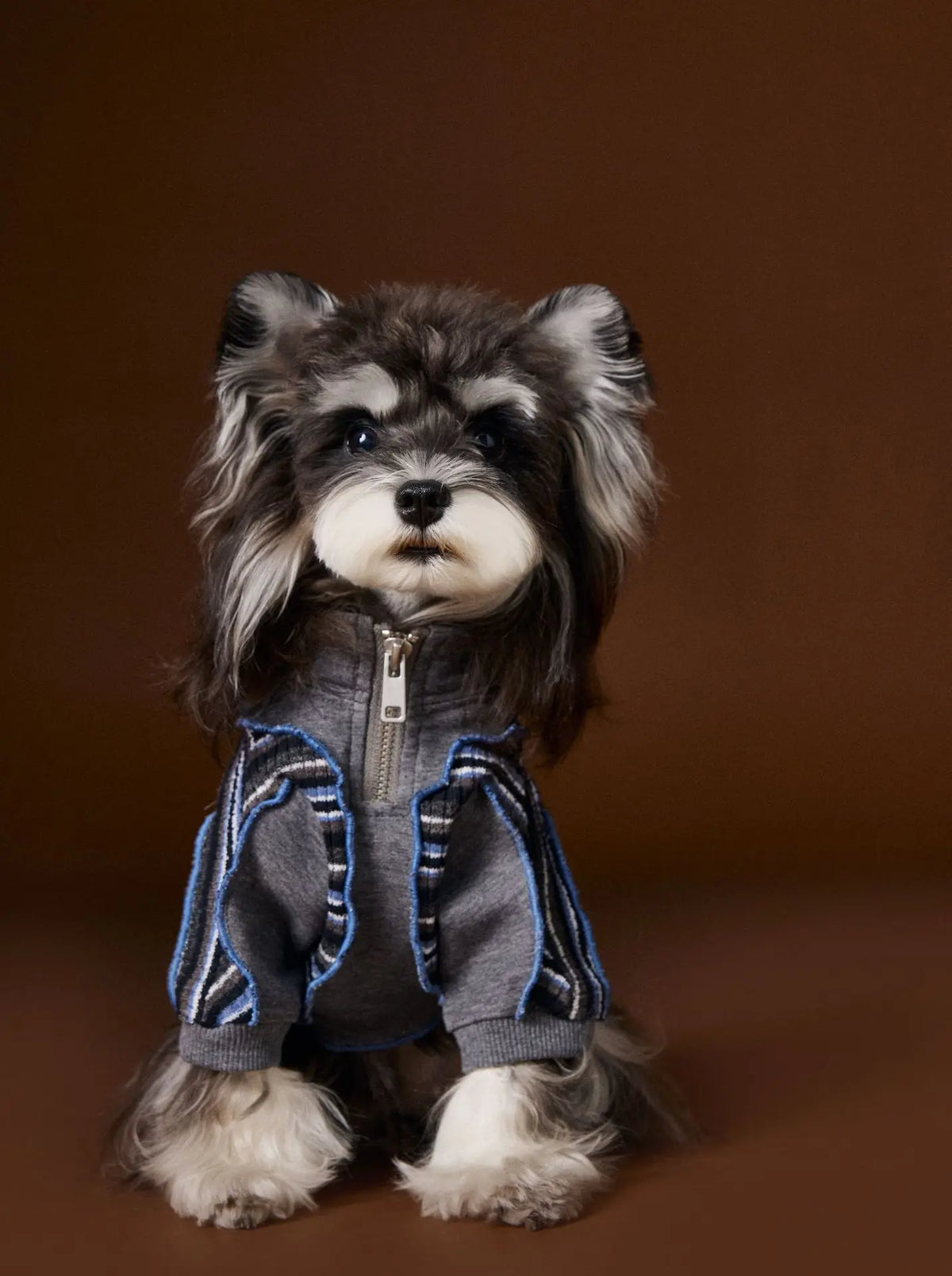 Fashionable Striped Design Italian Gentleman-Style Pet Hoodie With Zipper And Dog Hooded Top