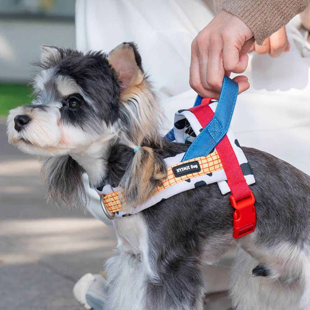 Small Dog Harness and Leash Set,Saddle Style Plaid Adjustable Puppy Vest for Dog Walking Outdoor