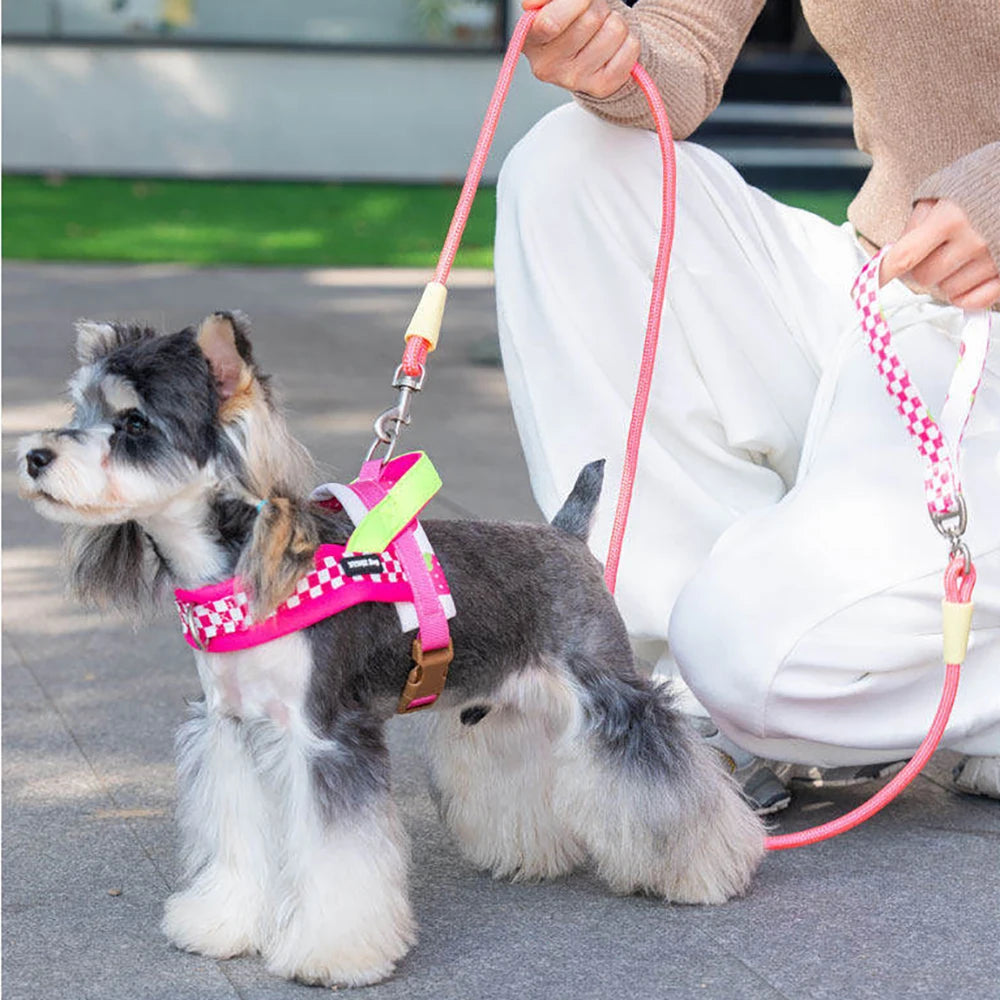 Small Dog Harness and Leash Set,Saddle Style Plaid Adjustable Puppy Vest for Dog Walking Outdoor