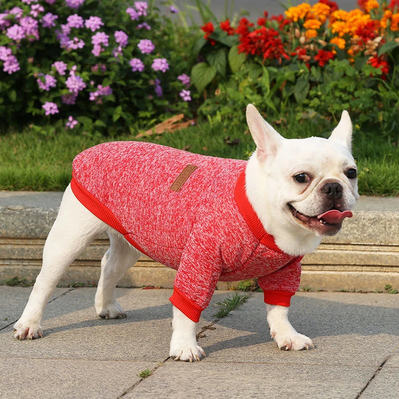 Pet Accessories Winter Dog Clothes for Small Dogs Warm Dogs Coat Schnauzer Pug Clothing Sweatshirts Casual Dog Cat Clothing