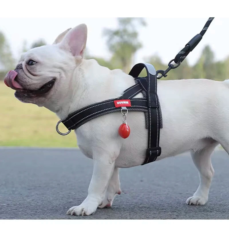 Fashion Dog Harness Saddle-type Pet Chest Strap for Small Medium Large Dogs Harnesses Puppy Collar Outdoor Walking Pet Supplies