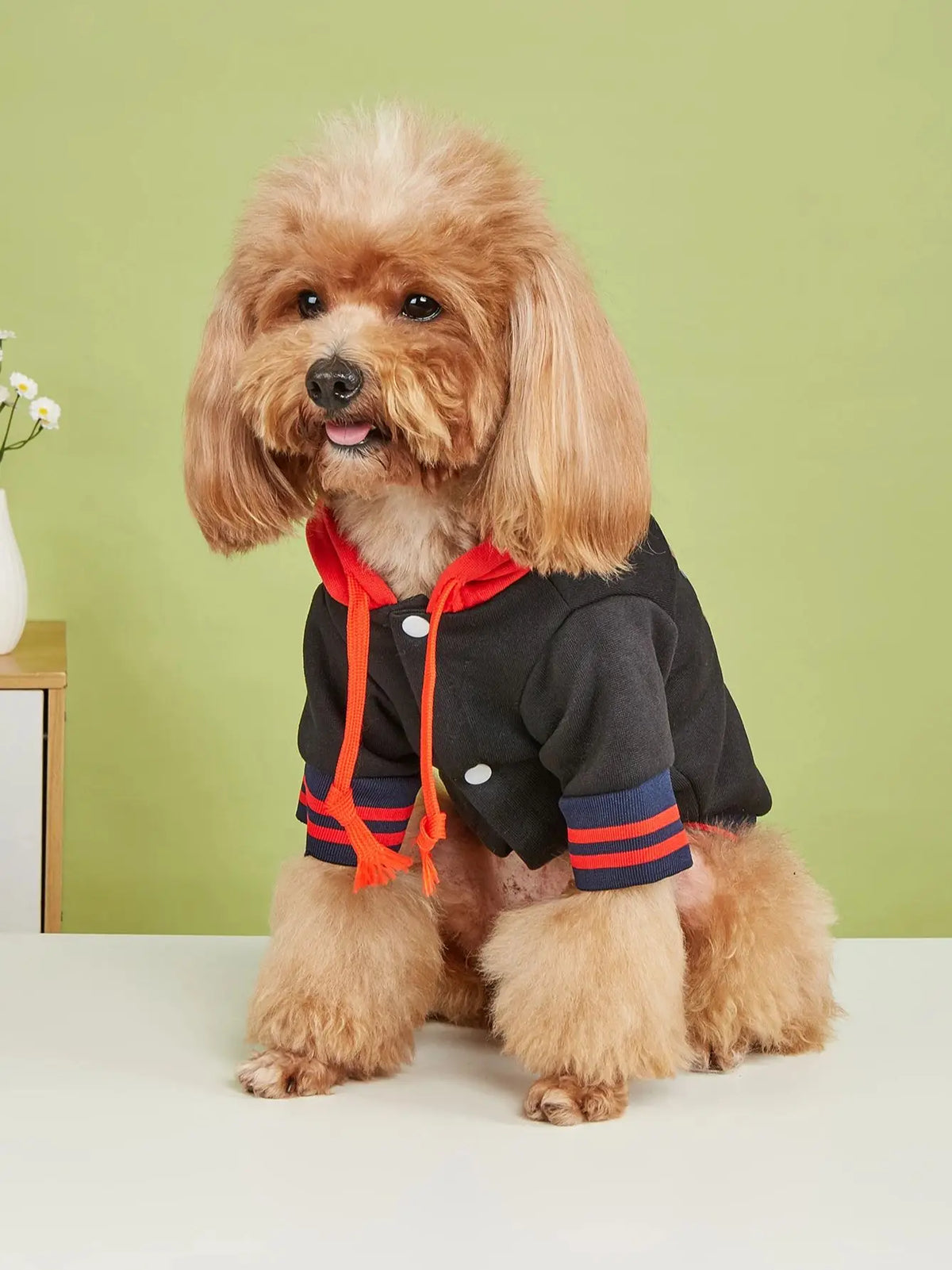 Pet clothes dog dog cat with hat jacket warm and comfortable clothes with bear letter pattern black and red new one