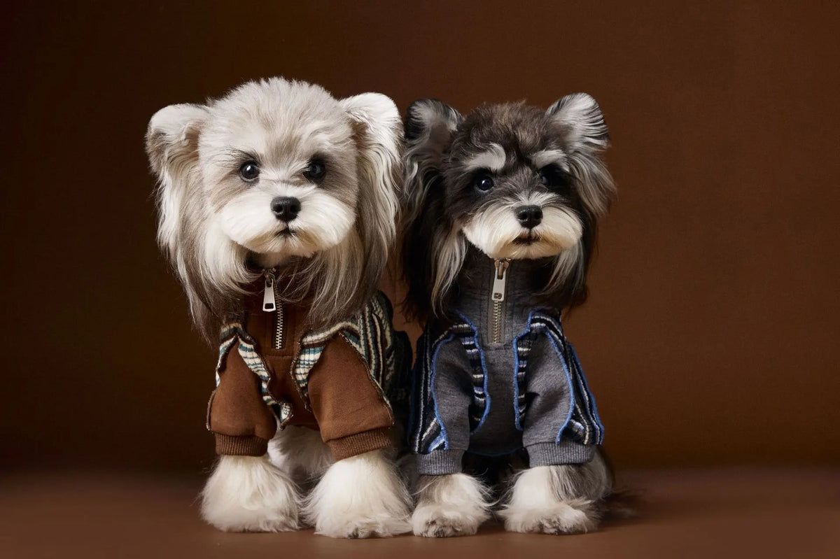 Fashionable Striped Design Italian Gentleman-Style Pet Hoodie With Zipper And Dog Hooded Top